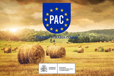 Ayuda Básica a la Renta por Sostenibilidad de la Política Agraria Común (PAC)