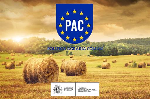 Ayuda Básica a la Renta por Sostenibilidad de la Política Agraria Común (PAC)