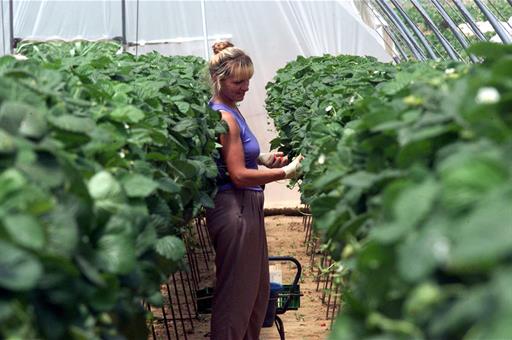 Trabajadora del ámbito rural durante su jornada laboral