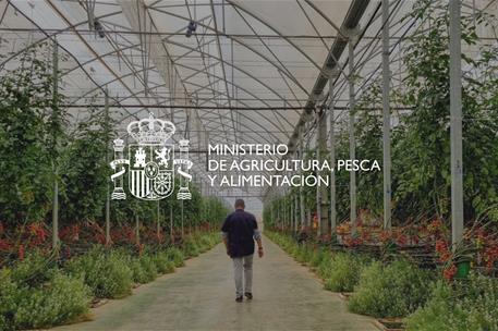 Ministerio de Agricultura, Pesca y Alimentación