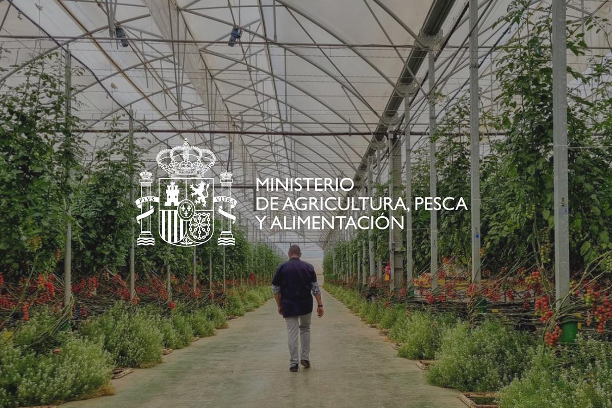 Ministerio de Agricultura, Pesca y Alimentación