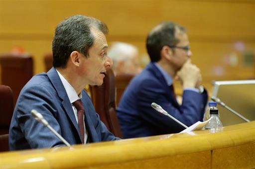 El ministro de Ciencia e Innovación, Pedro Duque, durante su intervención en el Senado