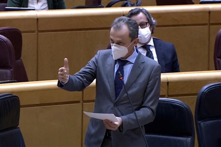 Pedro Duque durante su intervención en el Senado