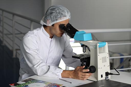 Un científico analizando unas pruebas en el microscopio