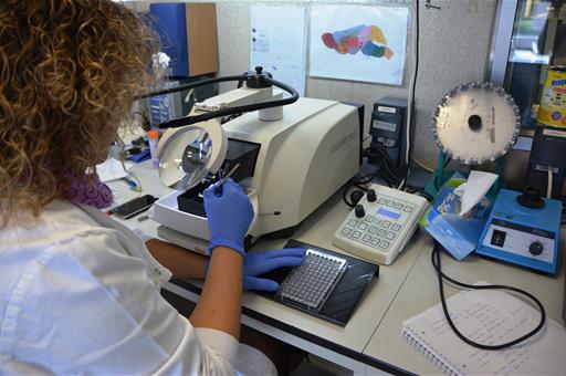 Investigadora en el Centro Nacional de Microbiología