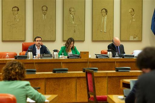 El ministro Alberto Garzón durante su comparecencia en la Comisión de Sanidad y Consumo del Congreso