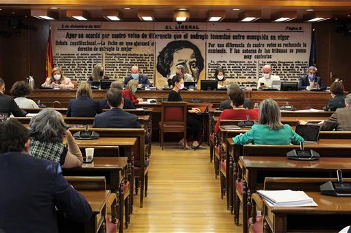 Comisión de Cultura y Deporte del Senado