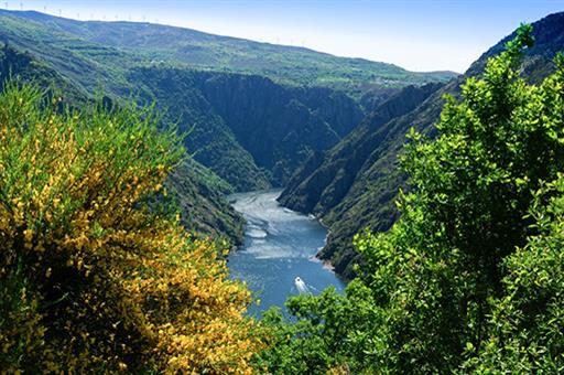 Paisaje de la Ribeira Sacra-Catamarán (Foto: Ministerio de Cultura y Deporte)