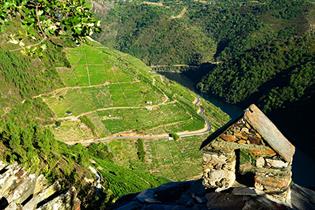 Paisaje de la Ribeira Sacra-Viñedos (Foto: Ministerio de Cultura y Deporte)