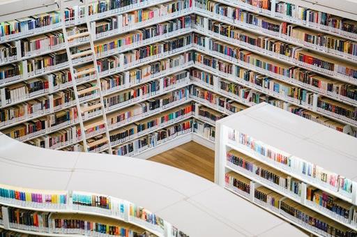 Biblioteca (Foto: Archivo)