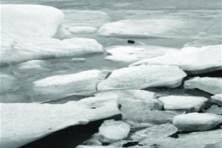 Efectos del cambio climático en unas capas de hielo