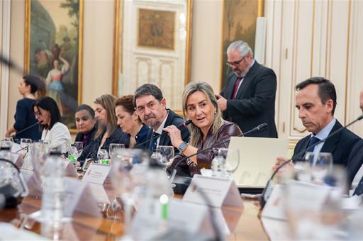 La ministra de Educación, Formación Profesional y Deportes, Milagros Tolón, durante la conferencia sectorial