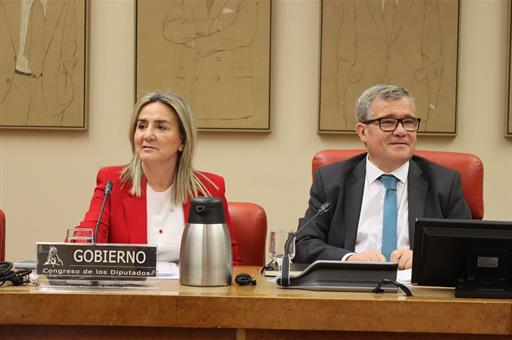 Milagros Tolón durante la Comisión de Educación del Congreso de los Diputados