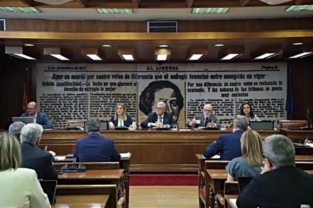 Milagros Tolón comparece en el Senado