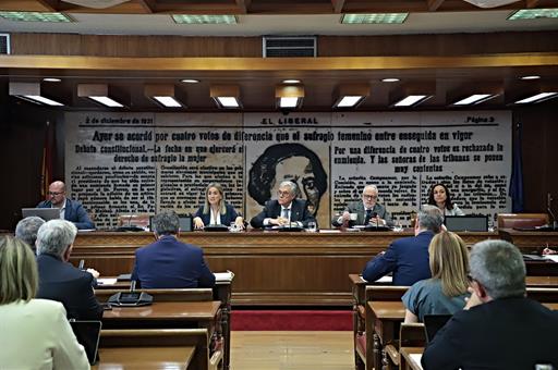 Milagros Tolón comparece en el Senado