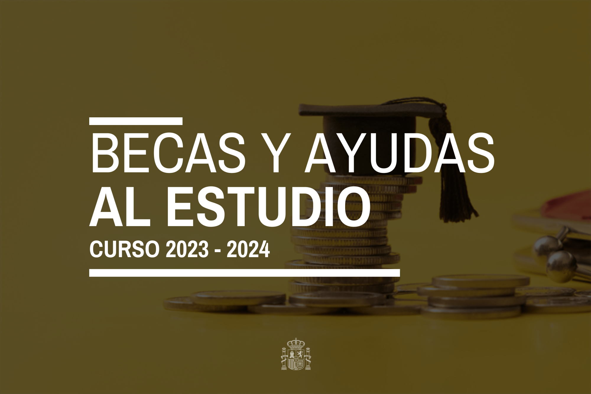 Becas y subvenciones disponibles