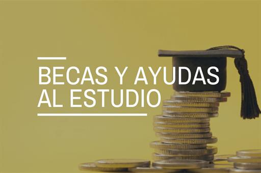 Becas y ayudas al estudio en España: curso 2024-2025