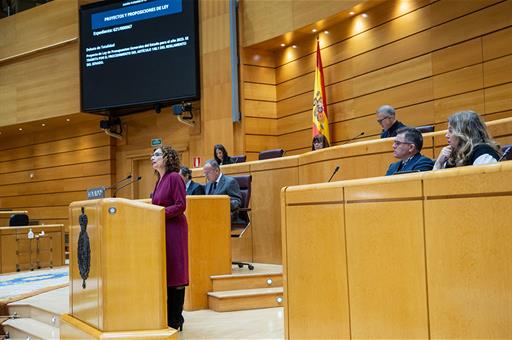 La ministra de Hacienda y Función Pública, María Jesús Montero, en el Senado