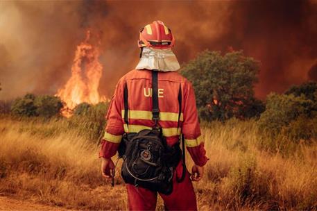Personal de la Unidad Militar de Emergencias en incendio forestal.