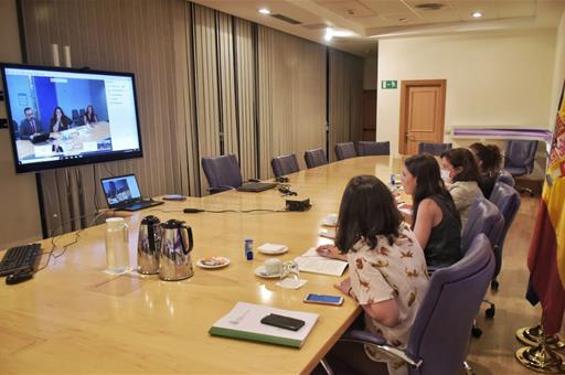 Irene Montero durante la videoconferencia