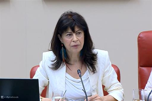 La ministra durante la comparecencia