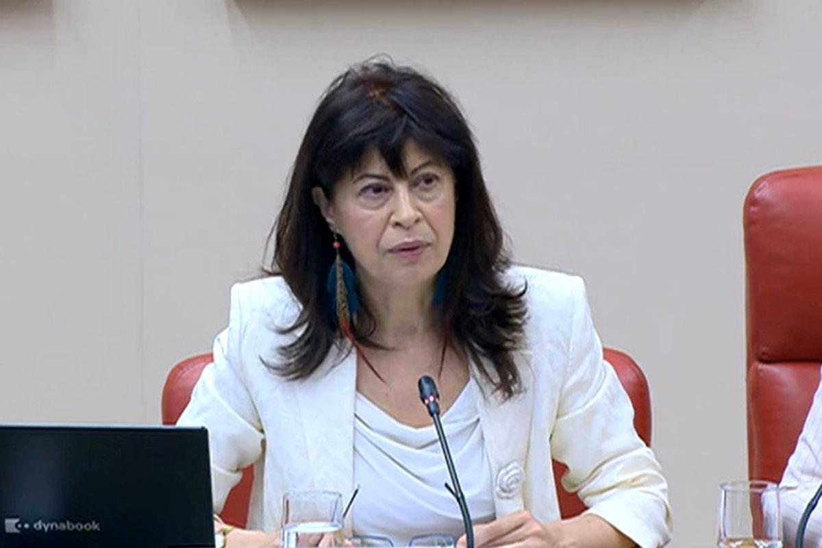 La ministra durante la comparecencia
