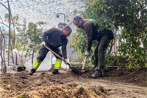 2/10/2026. Gardening staff working. Gardening staff working