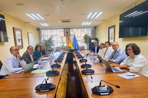 Reunión mantenida para impulsar la inserción laboral de beneficiarios del Ingreso Mínimo Vital