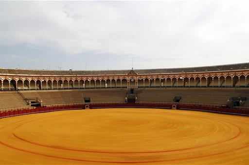 11/12/2020. Plaza de Toros