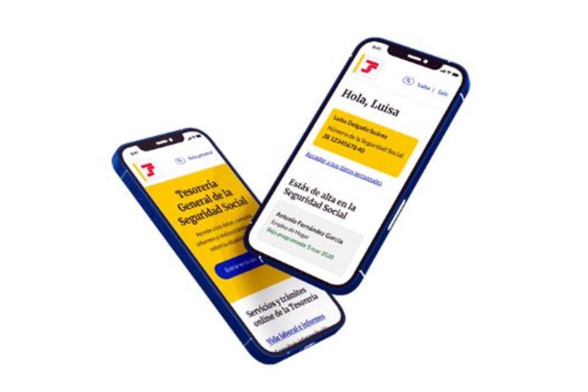 Vista de la aplicación Importass