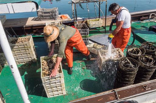 Pescadores trabajando en un barco