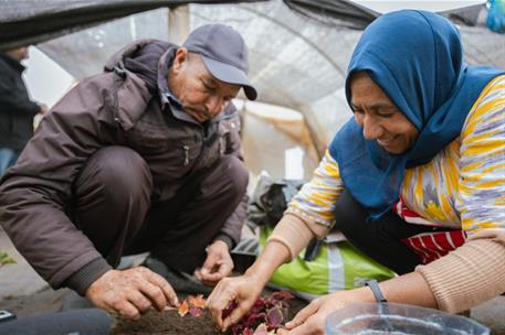 Trabajadores migrantes en una explotación agrícola