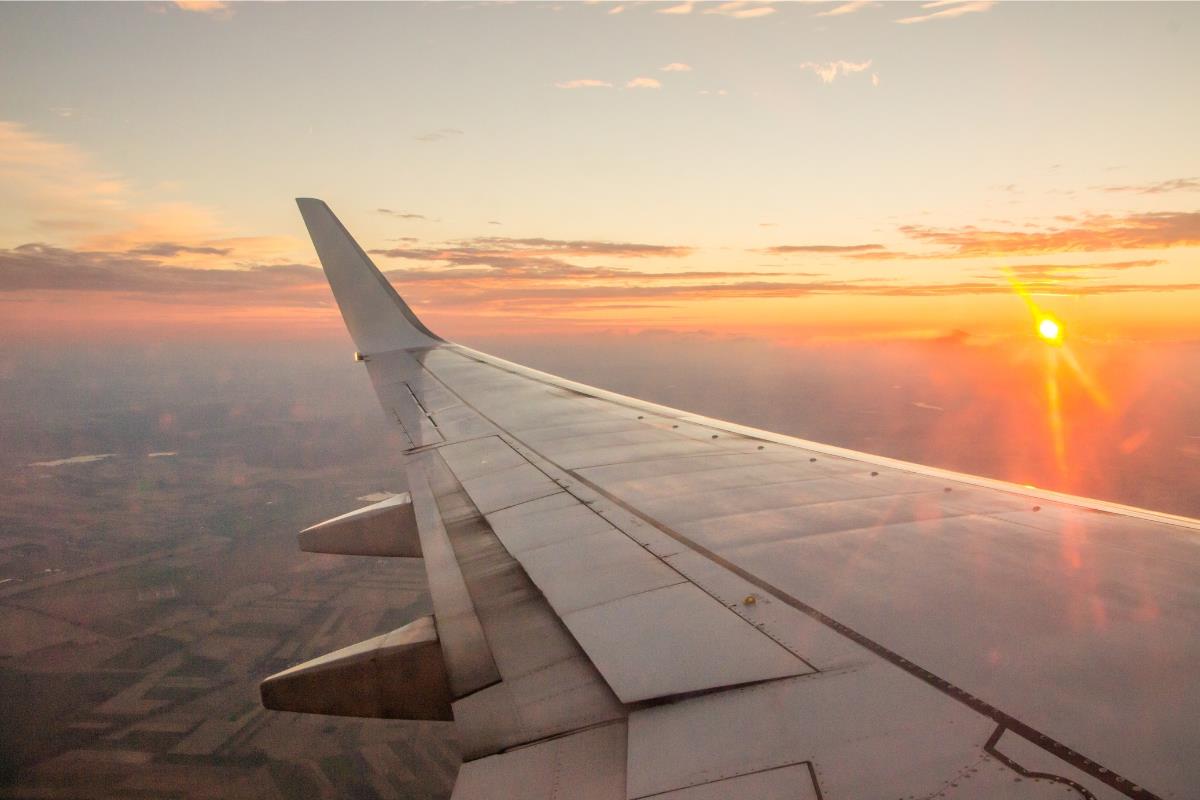 Ala de avión.