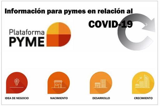 Web de la Plataforma PYME