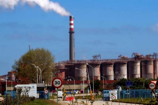 Planta de San Cribao