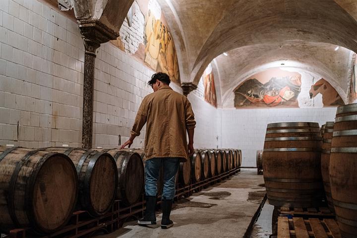Un turista visita una bodega Un turista visita una bodega