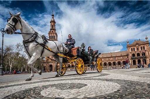 Coche de caballos en Sevilla