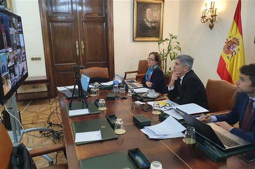 El ministro del Interior, Fernando Grande-Marlaska, duranta la videoconferencia