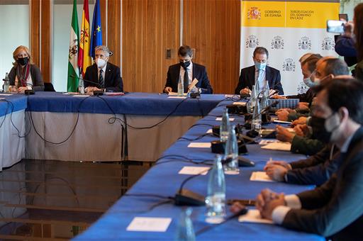 El ministro del Interior, Fernando Grande-Marlaska, durante la reunión de presentación del Plan