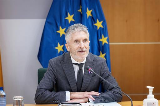 El ministro del Interior, Fernando Grande-Marlaska, durante la reunión