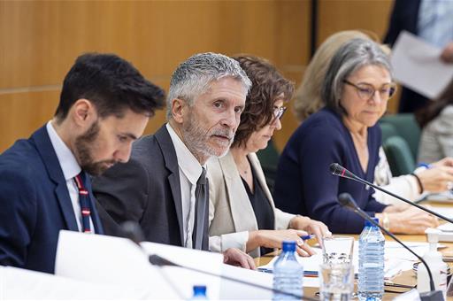 El ministro del Interior, Fernando Grande-Marlaska, durante la reunión