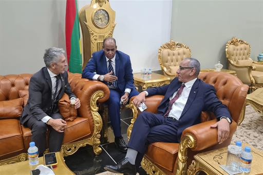 El ministro del Interior en funciones, Fernando Grande-Marlaska, durante su reunión con el presidente de Mauritania