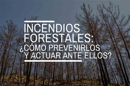 Incendios forestales: ¿cómo prevenirlos y actuar ante ellos?