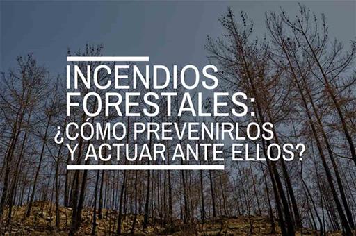 Incendios forestales: ¿cómo prevenirlos y actuar ante ellos? Incendios forestales: ¿cómo prevenirlos y actuar ante ellos?
