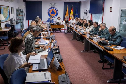 Reunión del Comité Estatal de Coordinación y Dirección del Plan Estatal de Incendios Forestales