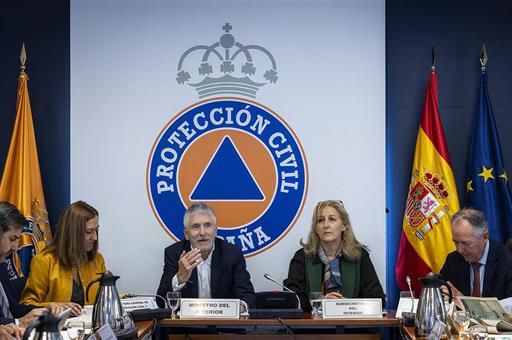 El ministro del Interior, Fernando Grande-Marlaska, durante la reunión