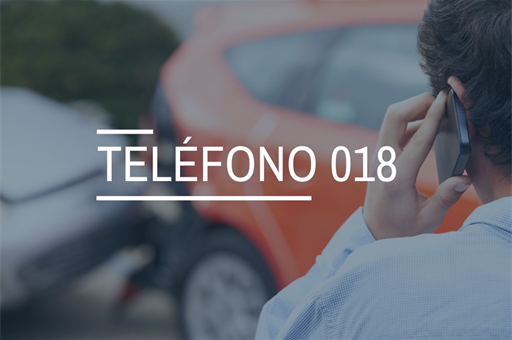 Teléfono 018