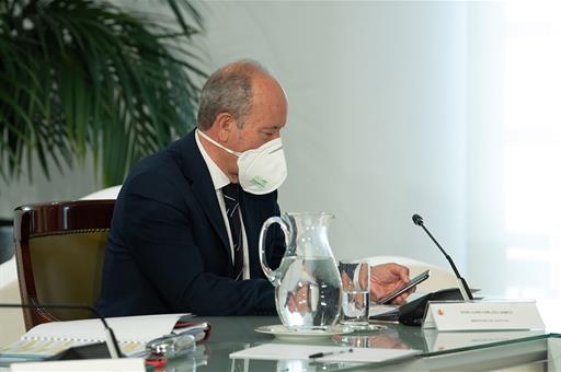 Juan Carlos Campo durante la videoconferencia