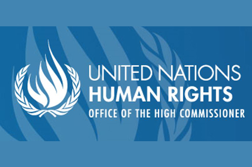 Naciones Unidas Derechos Humanos Oficina de Alto Comisionado 