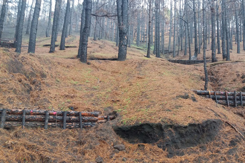 10/10/2017. El MAPAMA finaliza la restauración de las zonas afectadas por el gran incendio forestal de la isla de La Palma (2016)